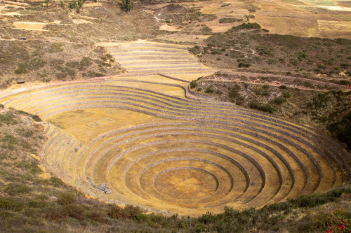 20220602T095436_0572