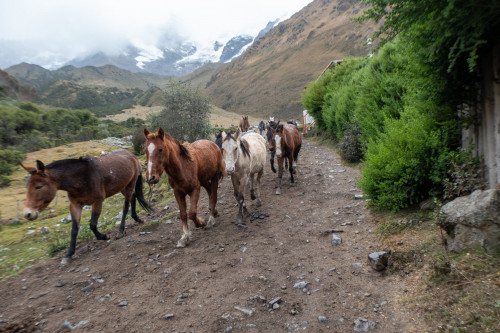 20220604T130234_0007