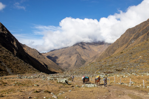 20220605T082455_0056