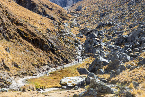 20220605T093131_0074