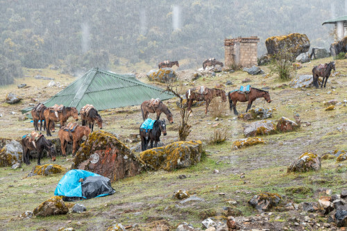 20220605T120430_0096