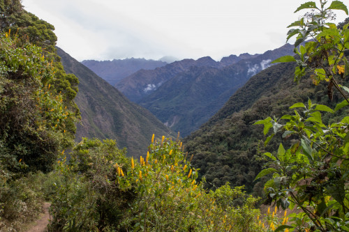 20220605T135151_0103