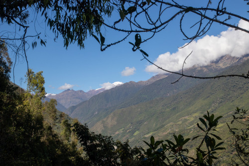 20220607T083246_0154