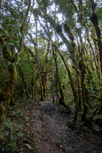 20220607T095251_0159