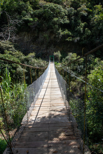 20220607T123529_0177