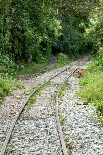 20220607T144521_0202