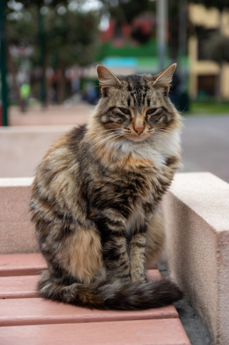 20220628T131423_0438