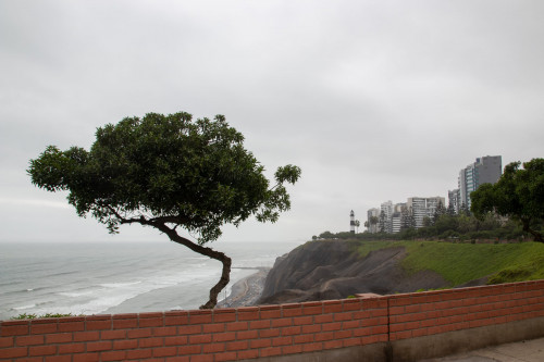 20220628T134432_0470