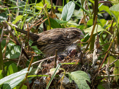 20220720T133951_0409