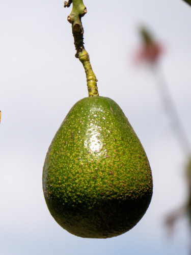 20220720T135806_0421