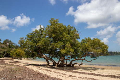 20220827T132242_0004