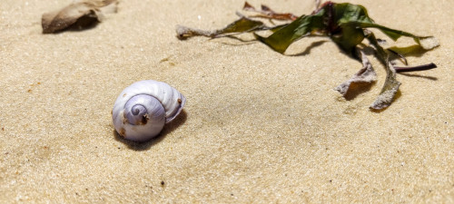 20220827T135155_0800