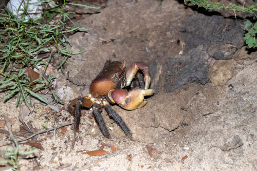 20220827T200232_0044