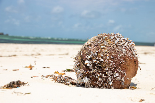 20220829T120139_0086