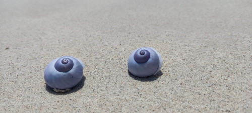 20220829T123542_0840