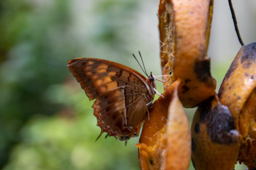 20220830T123213_0190