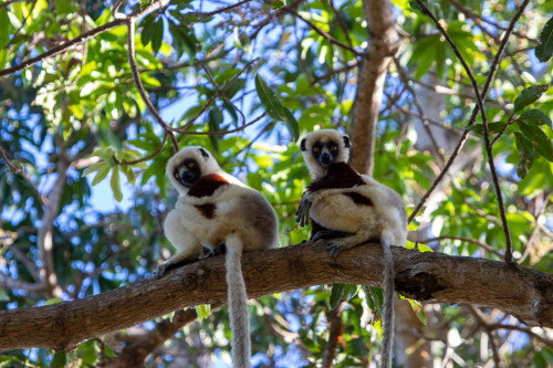 20220906T072144_0090