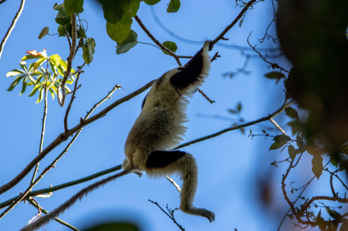 20220906T072726_0120