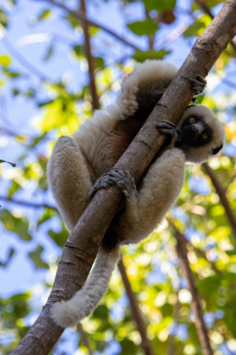 20220906T072925_0128