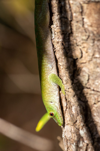 20220906T082129_0158