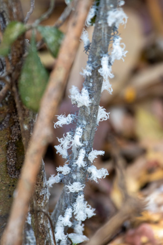 20220906T083020_0186