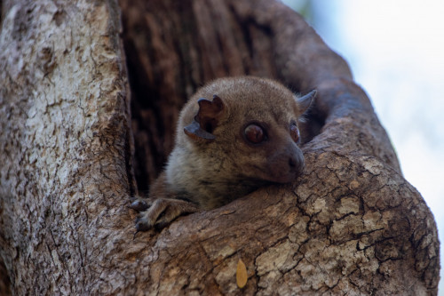 20220906T084452_0204