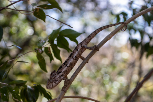 20220906T142927_0314