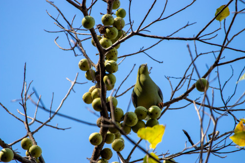 20220906T144619_0330