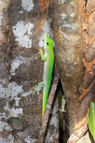 20220906T145426_0340