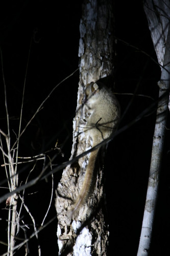 20220912T182838_1042