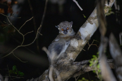 20220912T191519_1100