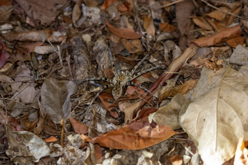 20220912T191911_1102