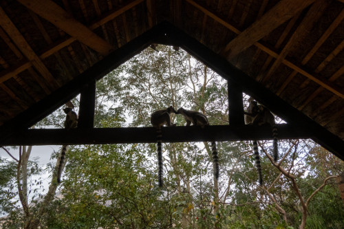 20220918T123219__0008