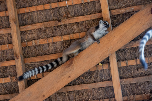 20220918T130839__0011