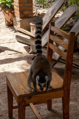 20220918T131928__0012