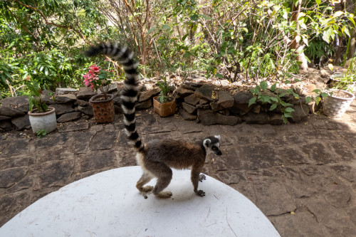 20220918T132001__0013