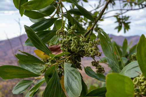 20220918T162555__0019