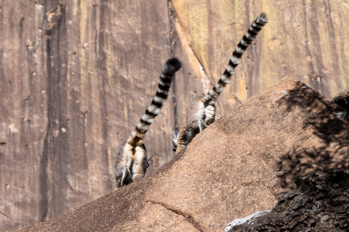 20220919T075216__0023