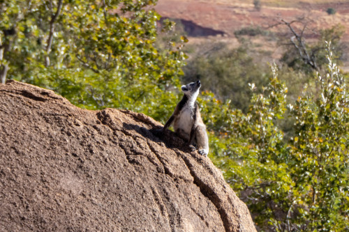 20220919T075532__0024