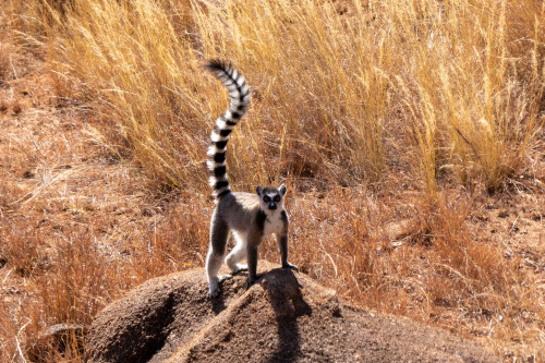 20220919T075758__0025