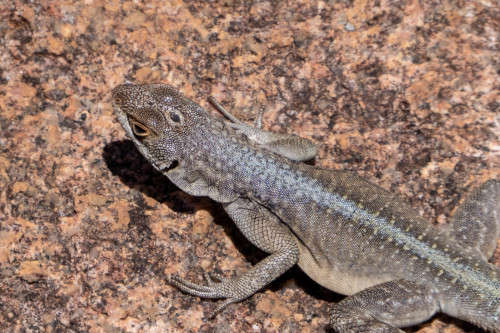 20220919T124932__0043