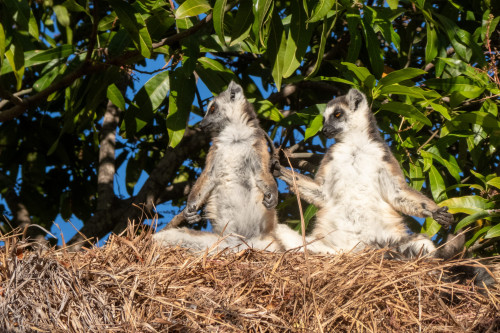 20220920T064217_1246