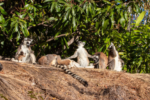 20220920T064810_0738