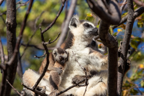 20220920T065808_0798