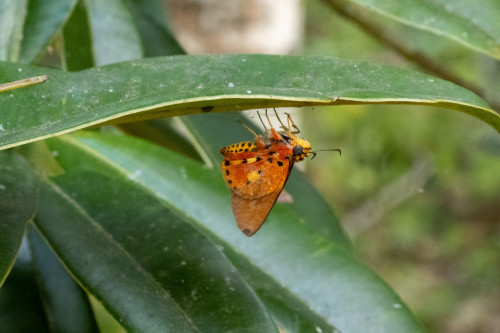 20220920T152404_1262