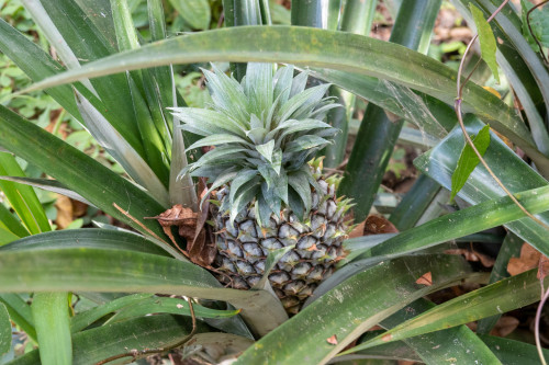 20220920T153018_0874