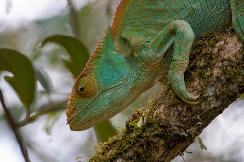 20220920T161628_0928