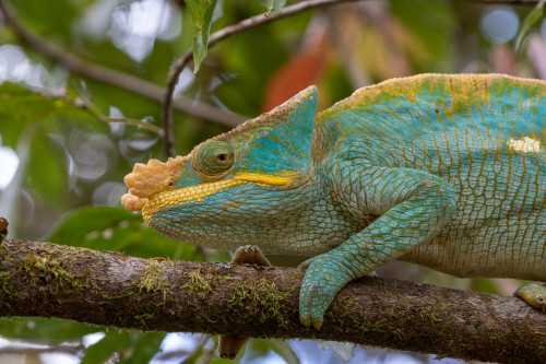 20220920T162403_0978