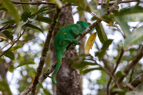 20220920T162620_0984