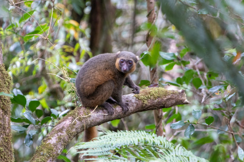 20220921T090645_0010